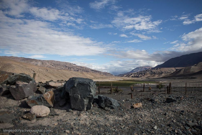 La parada de autobús más bonita del mundo.