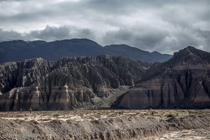 La parada de autobús más bonita del mundo.