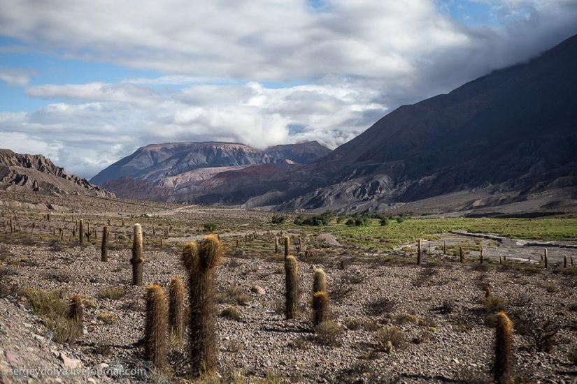 La parada de autobús más bonita del mundo.