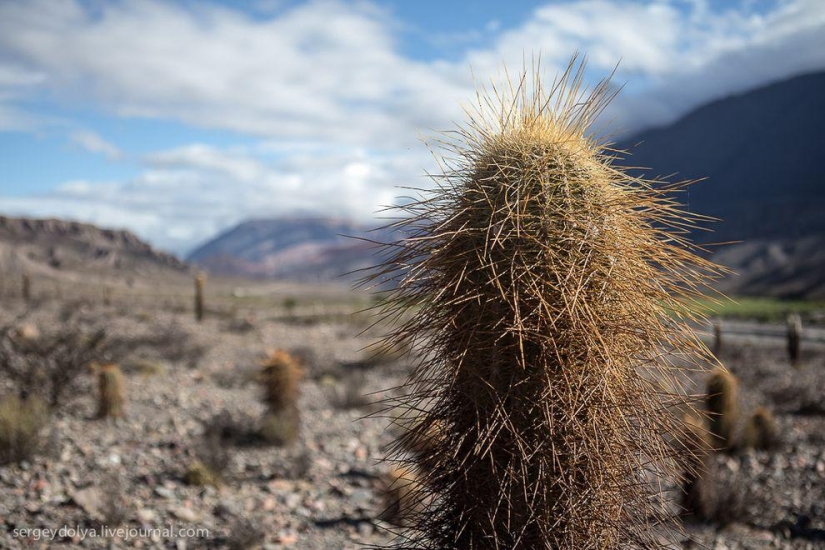 La parada de autobús más bonita del mundo.