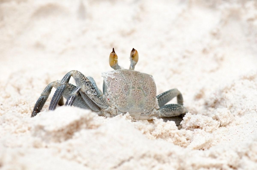 La playa más fotogénica del mundo.