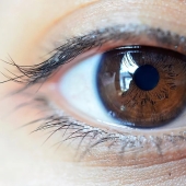 La población mundial por color de ojos