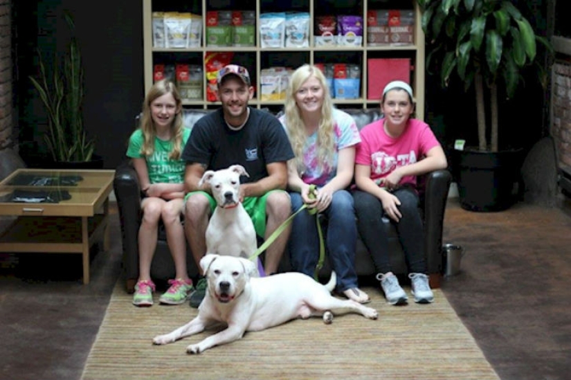 La policía rescató a dos perros que parecían esqueletos andantes de una casa abandonada