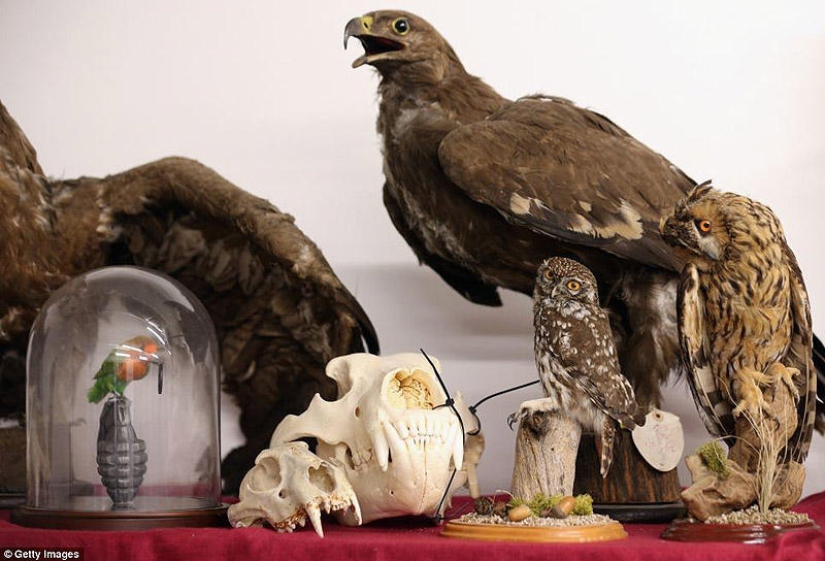 La riqueza y variedad del contrabando confiscado en el aeropuerto de Londres La riqueza y variedad del contrabando confiscado en el aeropuerto de Londres