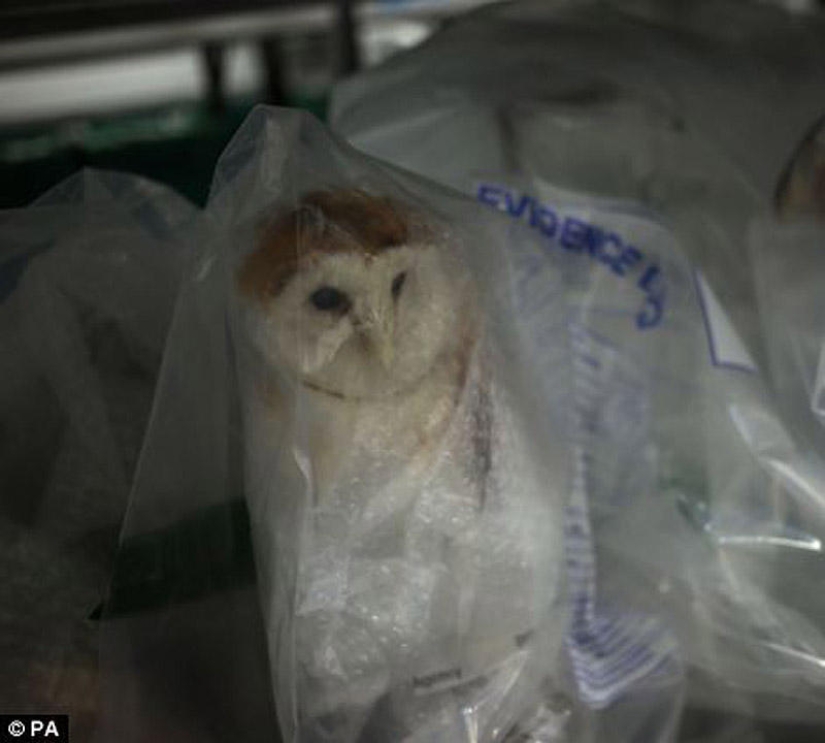 La riqueza y variedad del contrabando confiscado en el aeropuerto de Londres La riqueza y variedad del contrabando confiscado en el aeropuerto de Londres