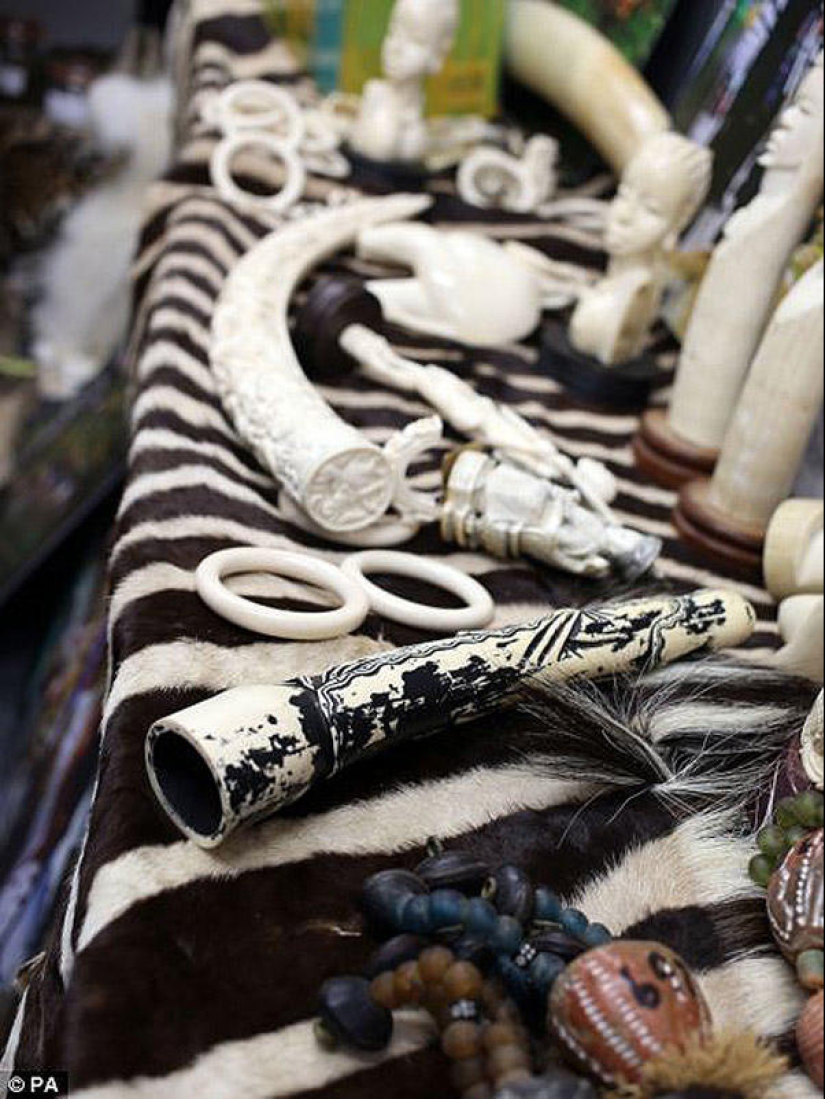 La riqueza y variedad del contrabando confiscado en el aeropuerto de Londres La riqueza y variedad del contrabando confiscado en el aeropuerto de Londres