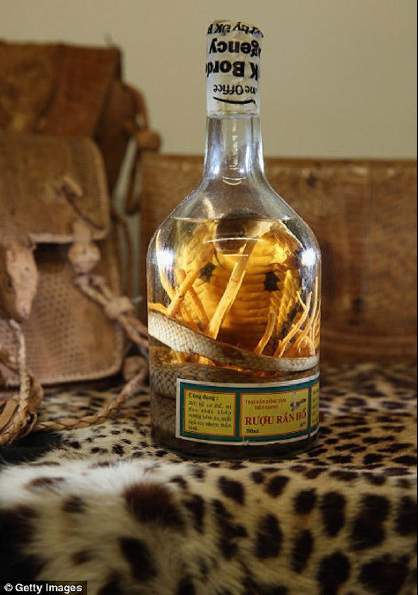 La riqueza y variedad del contrabando confiscado en el aeropuerto de Londres La riqueza y variedad del contrabando confiscado en el aeropuerto de Londres