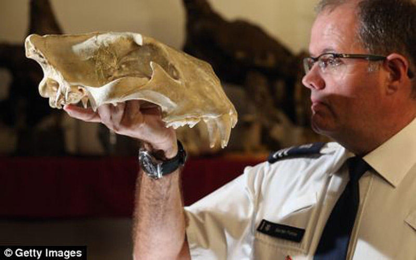 La riqueza y variedad del contrabando confiscado en el aeropuerto de Londres La riqueza y variedad del contrabando confiscado en el aeropuerto de Londres