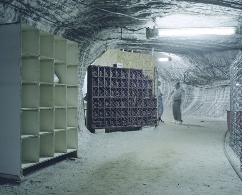 "La sal de la tierra"