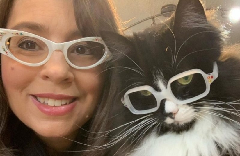 La señora óptica tomó en el gato, en el cual se anuncia gafas... La señora óptica tomó en el gato, en el cual se anuncia gafas...