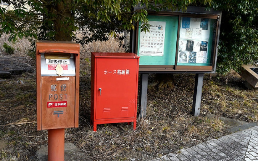 La tragedia japonesa cumple 5 años: cómo lucen hoy las consecuencias del peor desastre del país
