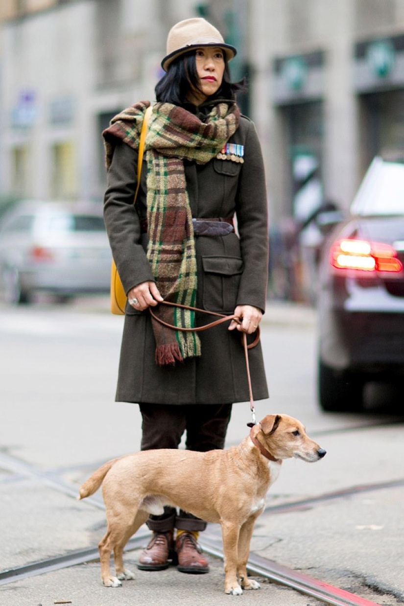La ventisca de enero está sonando La ventisca de enero está sonando