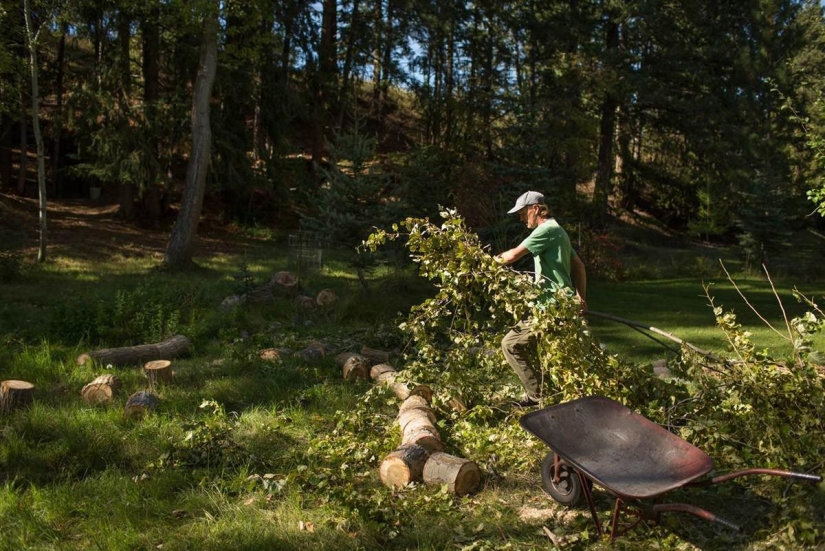 La vida cotidiana de un ermitaño siberiano