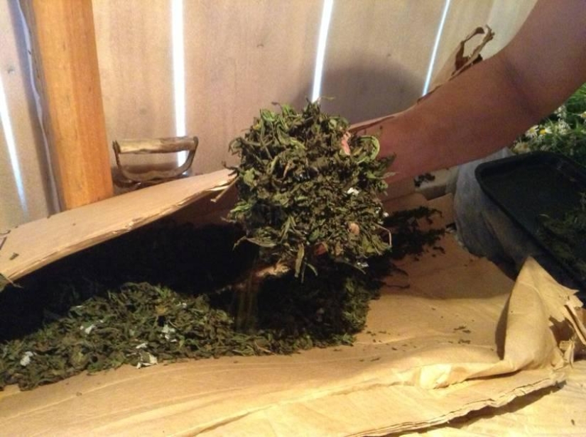 La vida de un reductor de marchas en el interior de Rusia