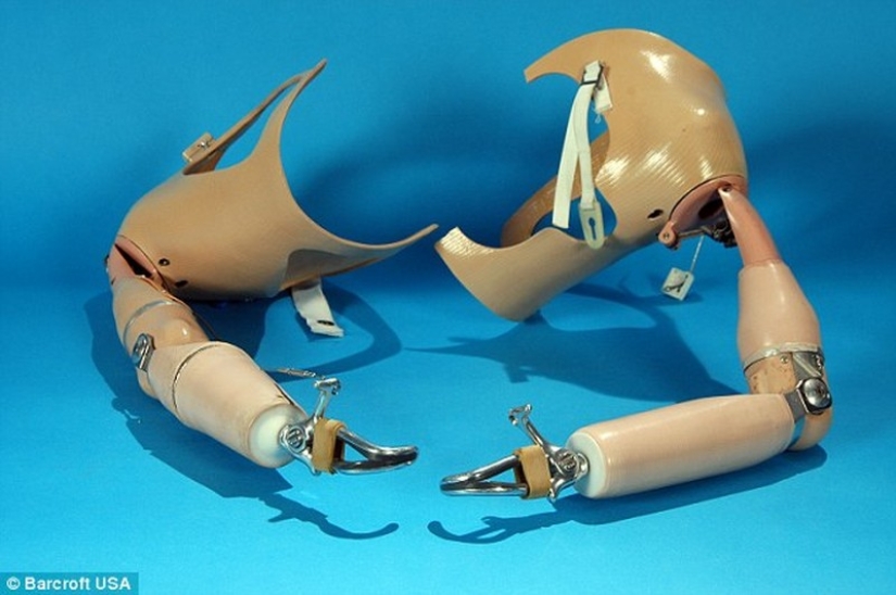 La vida de una mujer americana nacida sin brazos es mucho más interesante y agitada que la tuya.