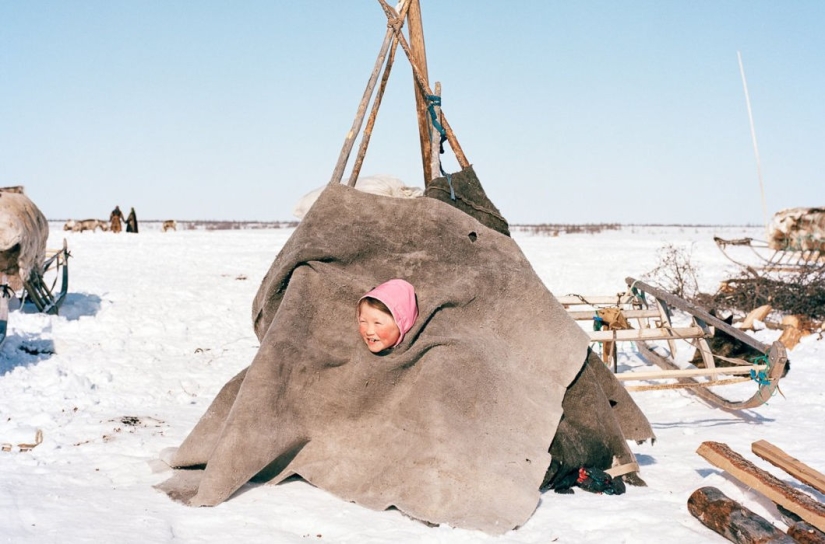 La vida en la línea La vida en la línea