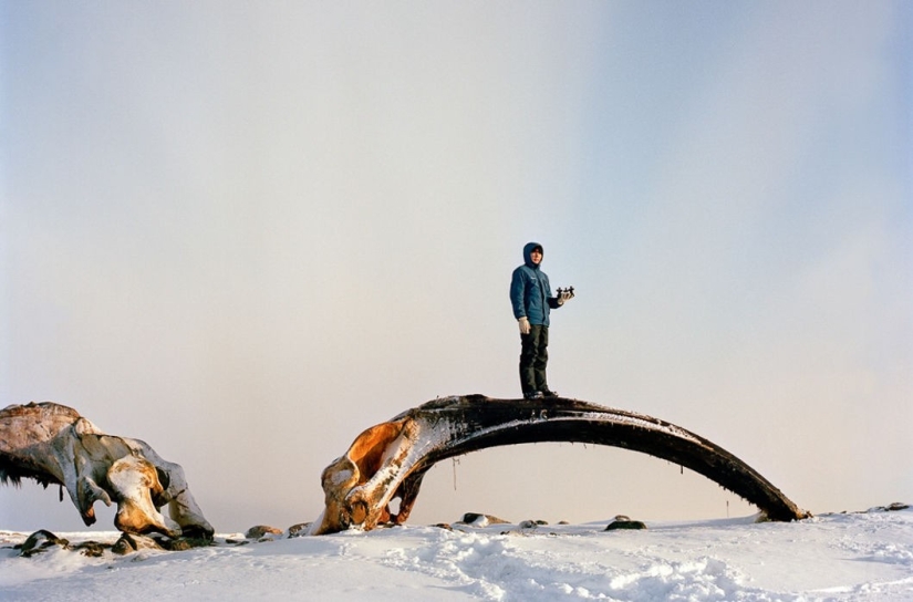 La vida en la línea La vida en la línea