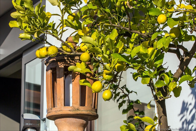 Lago de Garda, Sirmione y los Baños
