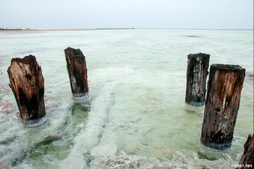 Lago Muerto Baskunchak Lago Muerto Baskunchak