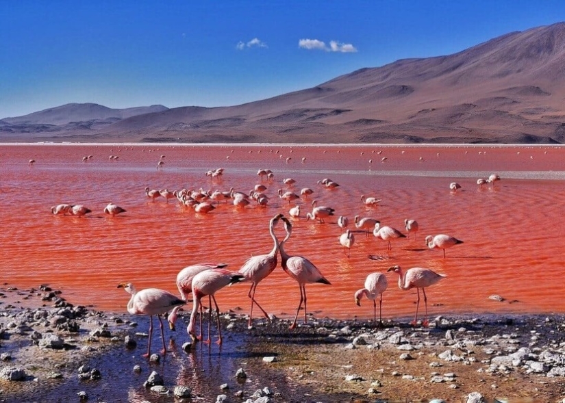 Laguna Sangrienta en Bolivia