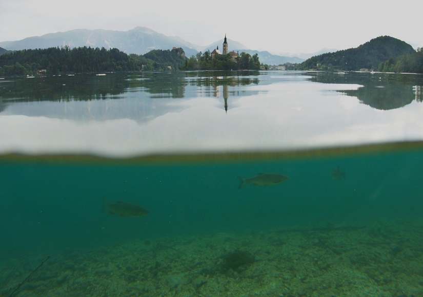 Lake Bled is the best place for those who love peace and tranquility