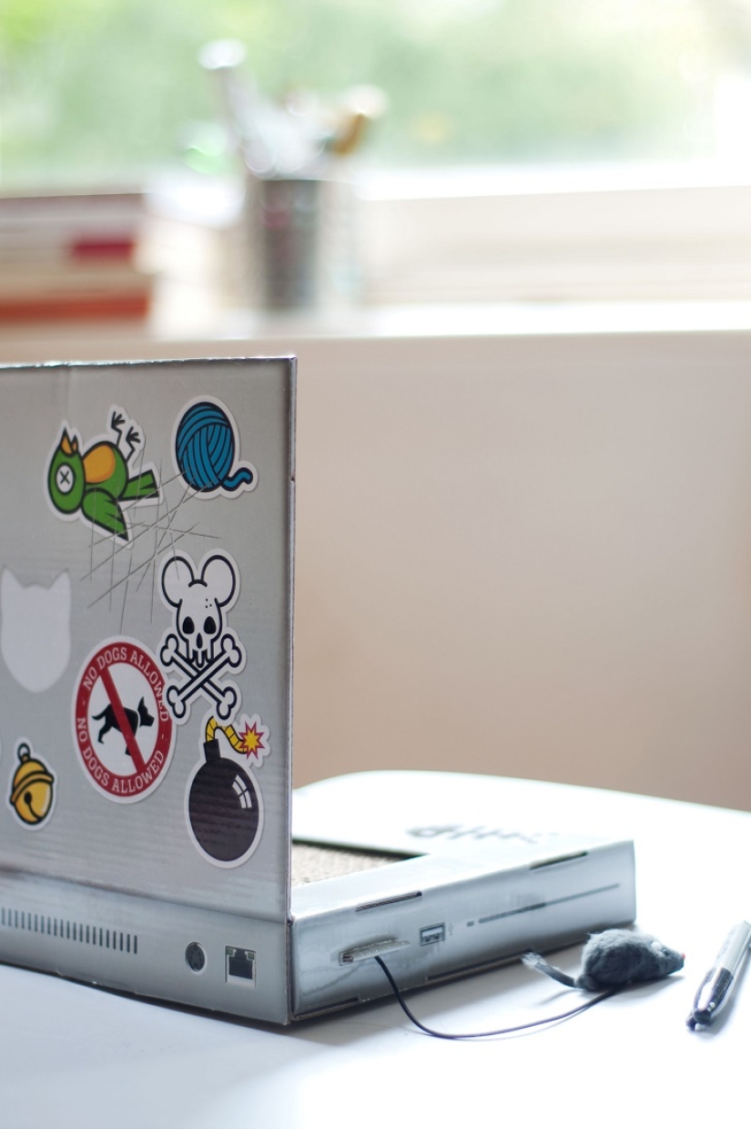 Laptop for cats - what you need