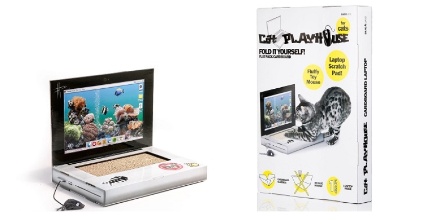 Laptop for cats - what you need