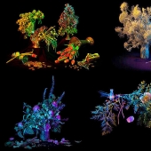 Las 10 colecciones mágicas más útiles de Salem