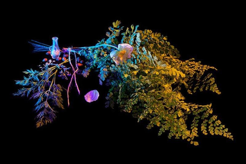 Las 10 colecciones mágicas más útiles de Salem Las 10 colecciones mágicas más útiles de Salem