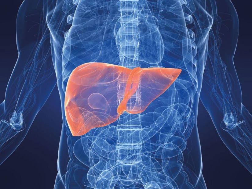 Las 10 cosas más raras que se venden en eBay