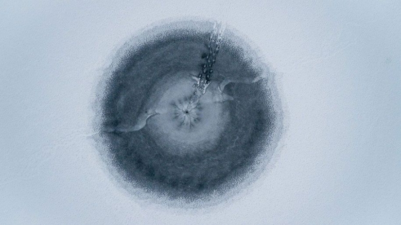 Las 10 mejores fotos de Nikon Small World