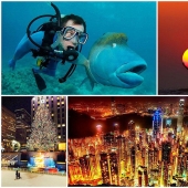 Las 100 Mejores fotos del Año de Twisted Sifter