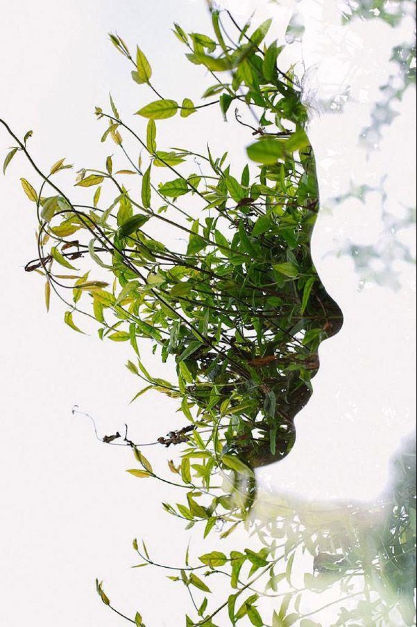 Las 100 Mejores fotos del Año de Twisted Sifter