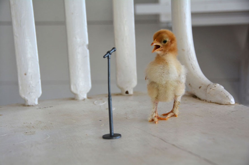 las 14 mejores obras del concurso de fotografía infantil de National Geographic las 14 mejores obras del concurso de fotografía infantil de National Geographic