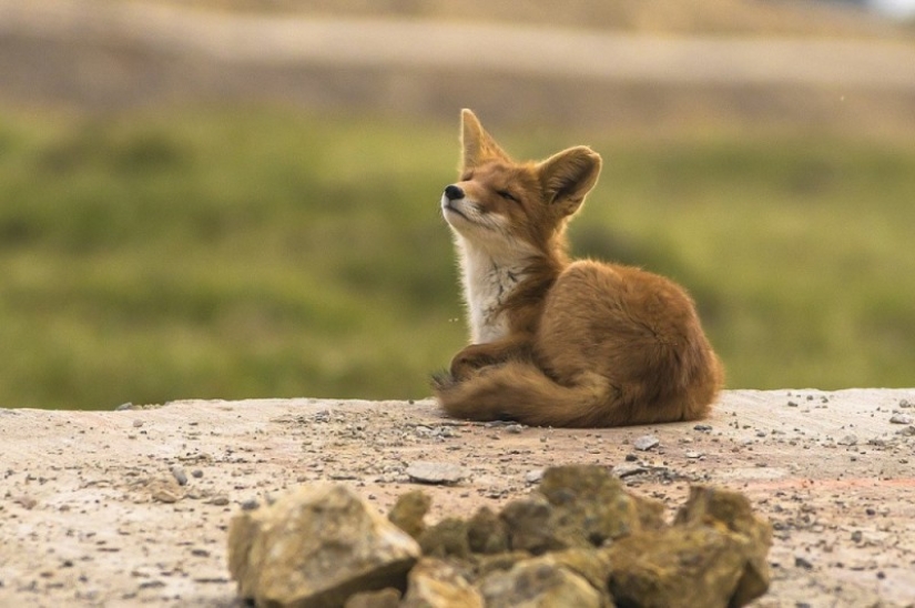 Las 20 mejores instantáneas de octubre de National Geographic