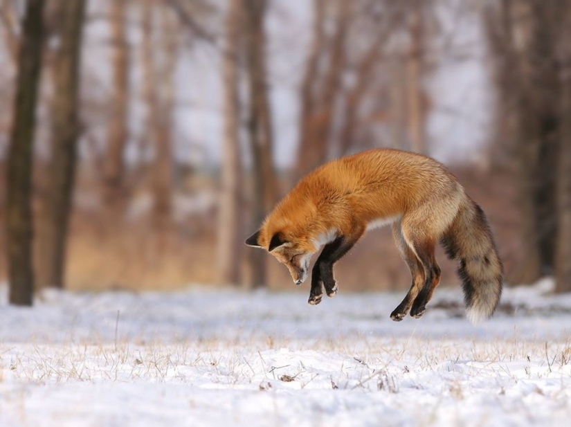 Las 20 mejores instantáneas de octubre de National Geographic Las 20 mejores instantáneas de octubre de National Geographic