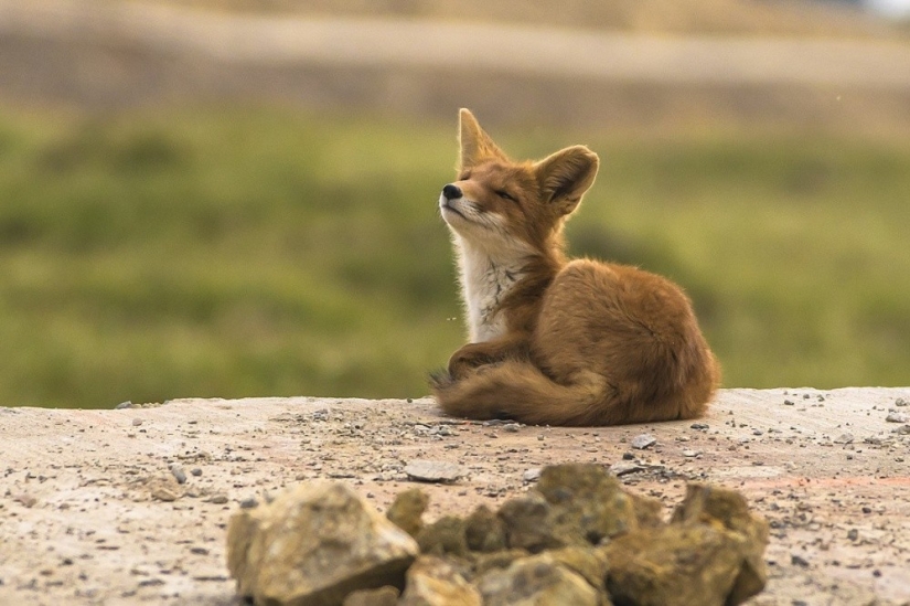 Las 20 mejores instantáneas de octubre de National Geographic Las 20 mejores instantáneas de octubre de National Geographic