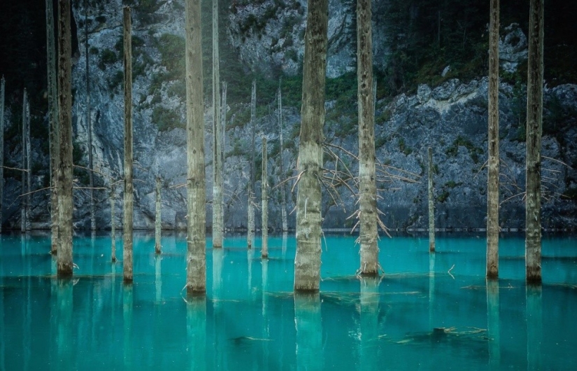 Las 20 mejores instantáneas de octubre de National Geographic Las 20 mejores instantáneas de octubre de National Geographic