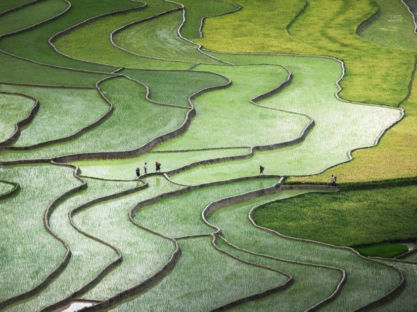 Las 20 mejores instantáneas de octubre de National Geographic Las 20 mejores instantáneas de octubre de National Geographic