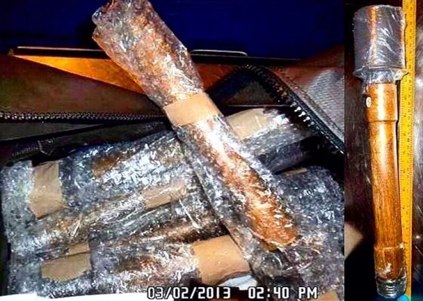 Las cosas más locas que la gente intentó llevar en un avión