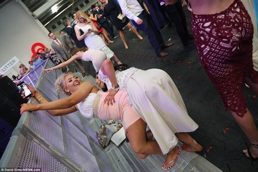 Las damas británicas se han ido de nuevo. Y no volvieron Las damas británicas se han ido de nuevo. Y no volvieron