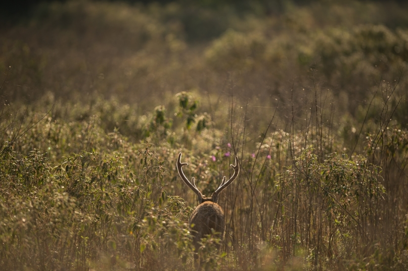 Las excursiones más caras del mundo.