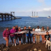 Las fotos científicas más increíbles del año saliente
