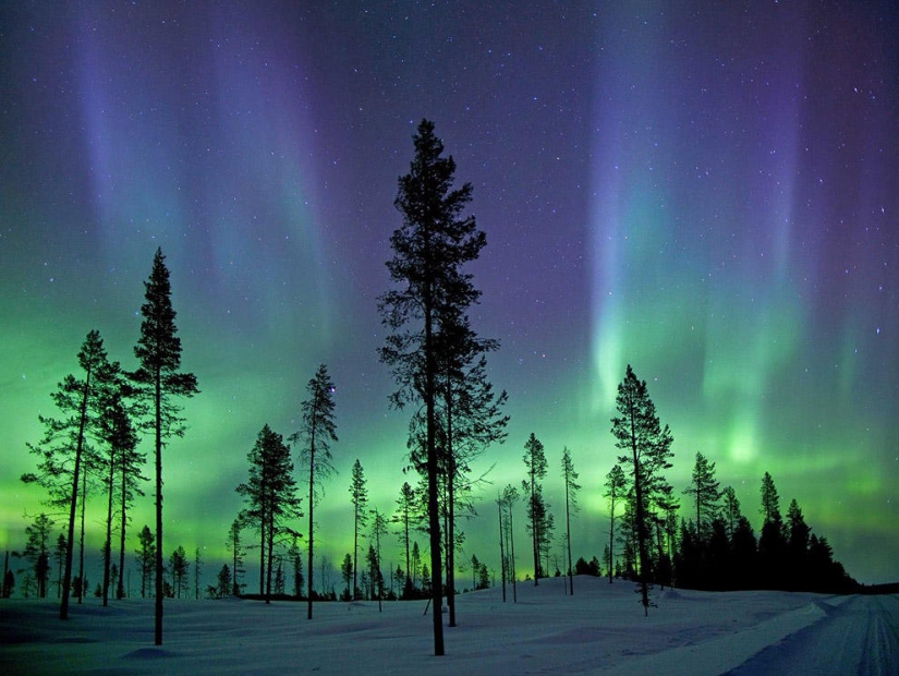 Las fotos científicas más increíbles del año saliente