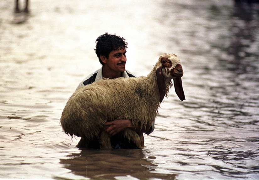 Las fotos más brillantes y emotivas de personas felices.