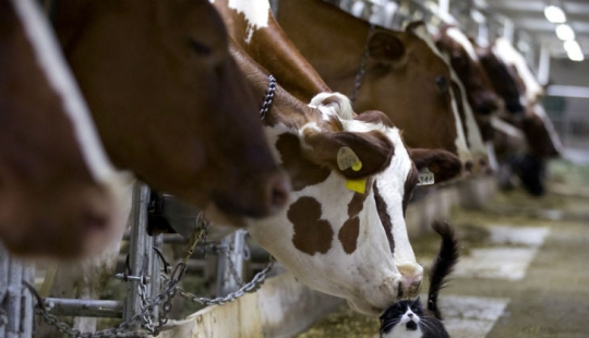 Las fotos más curiosas y divertidas de 2015