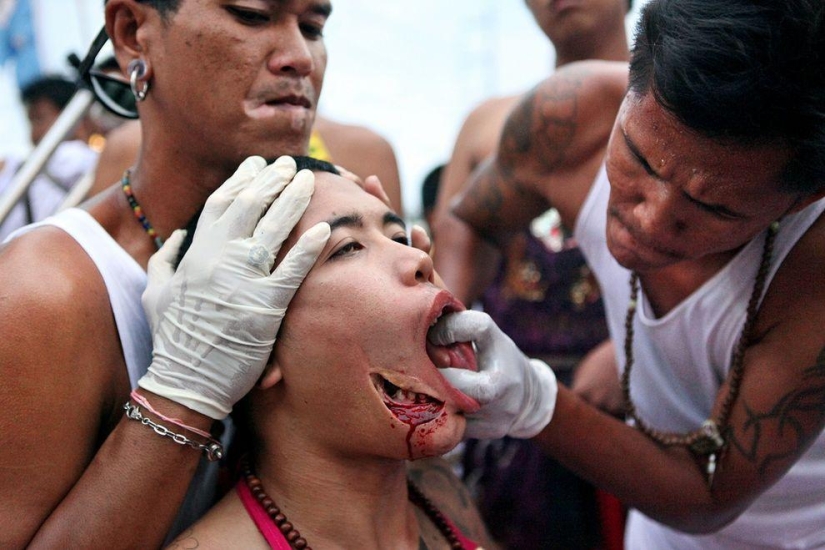 Las fotos más impactantes del Festival Vegetariano Las fotos más impactantes del Festival Vegetariano