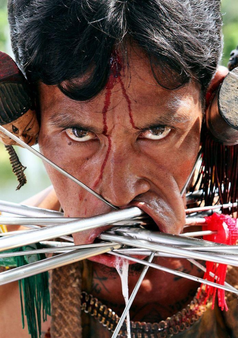 Las fotos más impactantes del Festival Vegetariano Las fotos más impactantes del Festival Vegetariano