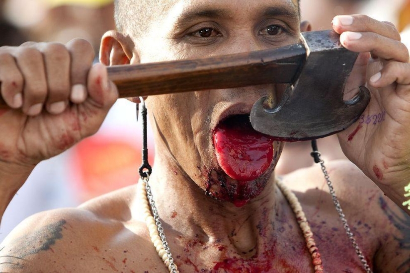 Las fotos más impactantes del Festival Vegetariano Las fotos más impactantes del Festival Vegetariano