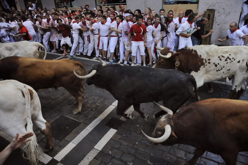 Las imágenes más emotivas de las fiestas españolas San Fermín 2013 Las imágenes más emotivas de las fiestas españolas San Fermín 2013